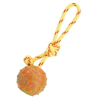 FDT Solid Rubber Dog Ball on Rope, Large - Diameter 2.75" (7 cm) Dog Toys Dogline