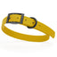 Biothane Waterproof Dog Collar - Medium (15 to 18 inches) Treasure Gold L 15"-18" x W 3 4" Dog Collar Dogline
