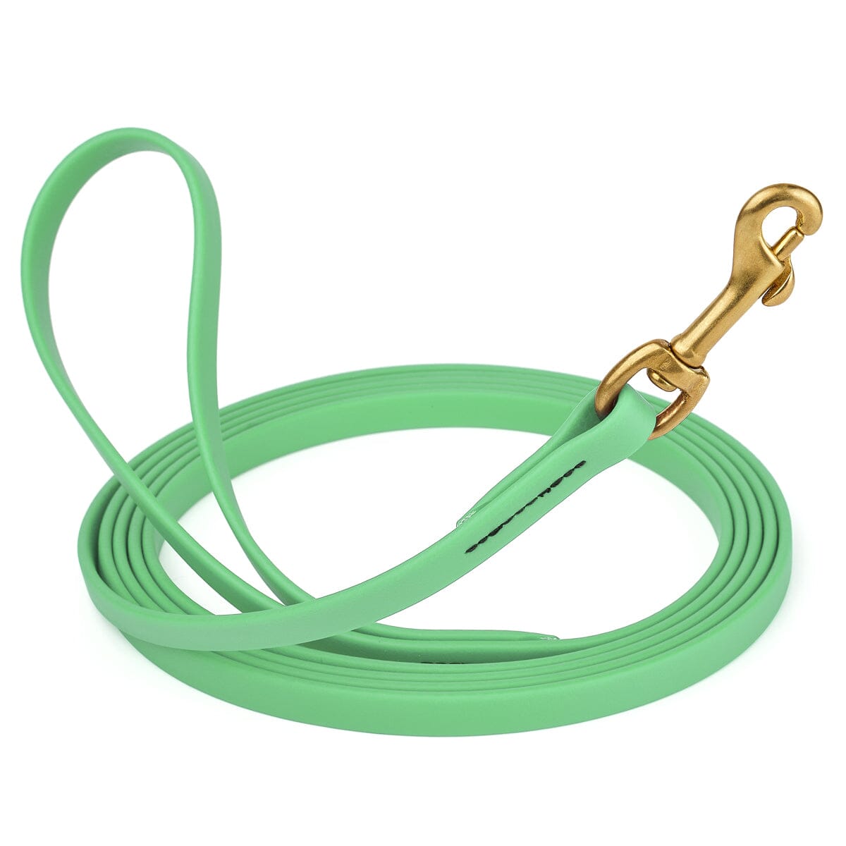 Viper Biothane Long Line 20 ft Lead with Brass Hardware Sea Foam Green 1 2" Dog Leashes Dogline