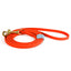 Viper Biothane Long Line 10 ft Lead with Brass Hardware Dog Leashes Dogline