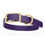 Viper Biothane Waterproof Dog Collar - Brass Hardware - Size L (18" - 22") Violet Purple L 18"-22" x W 1" Dog Collar Dogline