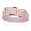 Viper Biothane Waterproof Dog Collar - Brass Hardware - 1.5in Wide - Size XXL (24" - 28") Pastel Purple L 24"-28" x W 1.5" Dog Collar Dogline