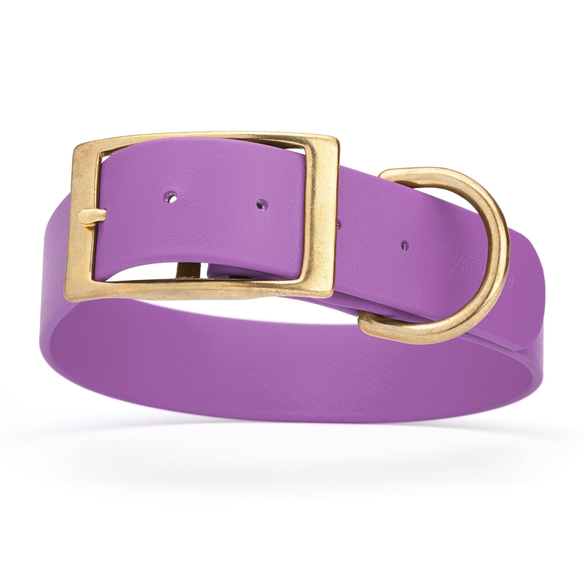 Viper Biothane Waterproof Dog Collar - Brass Hardware - 1.5in Wide - Size XL (20" - 24") Amethyst Purple L 20"-24" x W 1.5" Dog Collar Dogline
