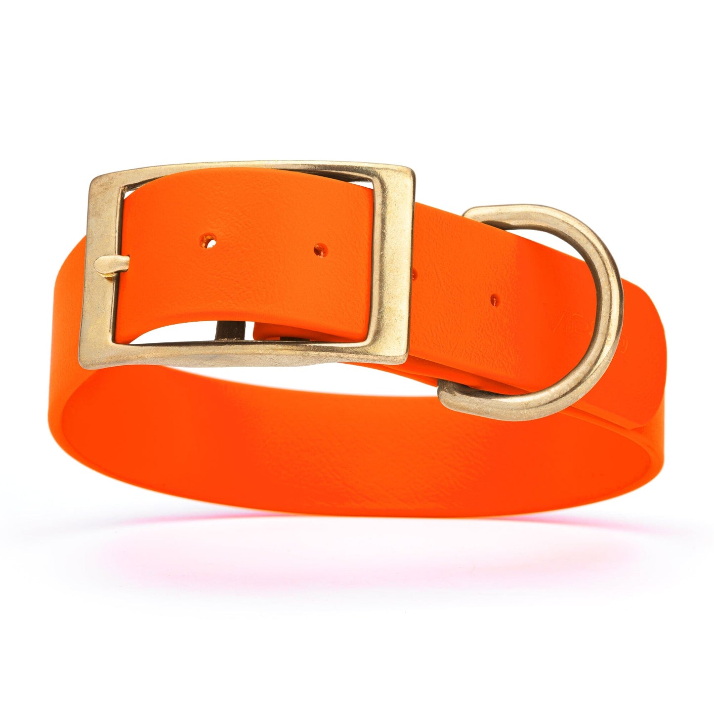Viper Biothane Waterproof Dog Collar - Brass Hardware - 1.5in Wide - Size XL (20" - 24") Hunter Orange L 20"-24" x W 1.5" Dog Collar Dogline