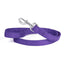 Comfort Microfiber Flat Dog Leash Purple Dog Leashes Dogline