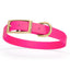 Viper Biothane Waterproof Dog Collar - Brass Hardware - Size M (15" - 18") Passionfruit Pink L 15"-18" x W 3 4" Dog Collar Dogline
