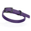 Biothane Waterproof Dog Collar - X-Small (9 to 12 inches) Violet Purple L 9"-12" x W 1 2" Dog Collar Dogline