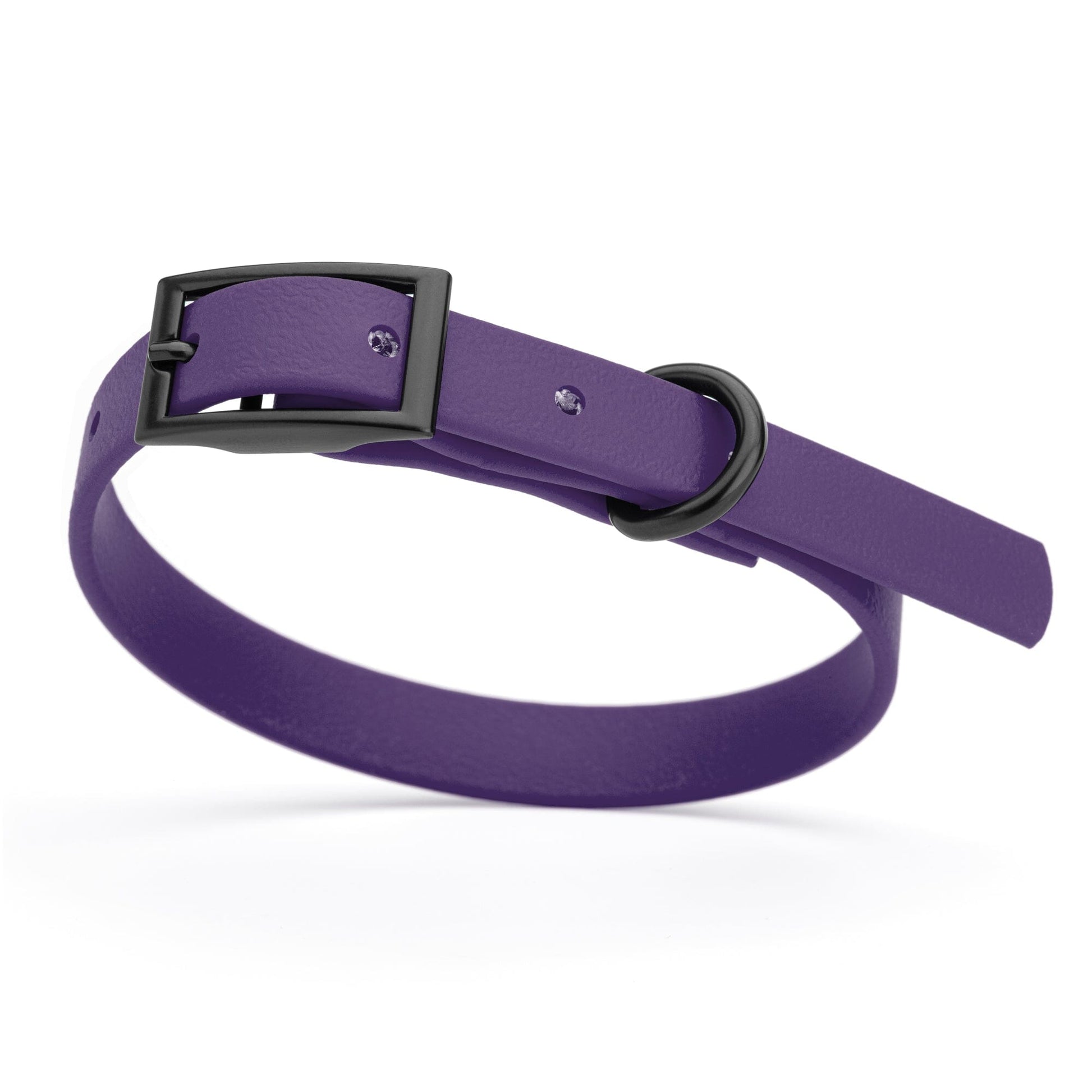 Biothane Waterproof Dog Collar - X-Small (9 to 12 inches) Violet Purple L 9"-12" x W 1 2" Dog Collar Dogline