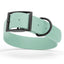 Biothane Waterproof Dog Collar - 1.5in Wide - XX-Large (24 to 28 inches) Sage Green L 24"-28" x W 1.5" Dog Collar Dogline