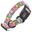 Dogline Biothane Full Color Design Printed Dog Collar with Quick Release Buckle Fruits W 3 4" x L 12"-19" Dog Collars Dogline