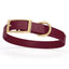 Viper Biothane Waterproof Dog Collar - Brass Hardware - Size M (15" - 18") Merlot Burgundy L 15"-18" x W 3 4" Dog Collar Dogline