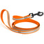 Reflective Biothane Dog Leash with Black Hardware Hunter Orange Dog Leashes Dogline