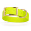 Viper Biothane Waterproof Dog Collar - Brass Hardware - 1.5in Wide - Size XXL (24" - 28") Safety Yellow L 24"-28" x W 1.5" Dog Collar Dogline