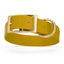 Viper Biothane Waterproof Dog Collar - Brass Hardware - 1.5in Wide - Size XL (20" - 24") Treasure Gold L 20"-24" x W 1.5" Dog Collar Dogline