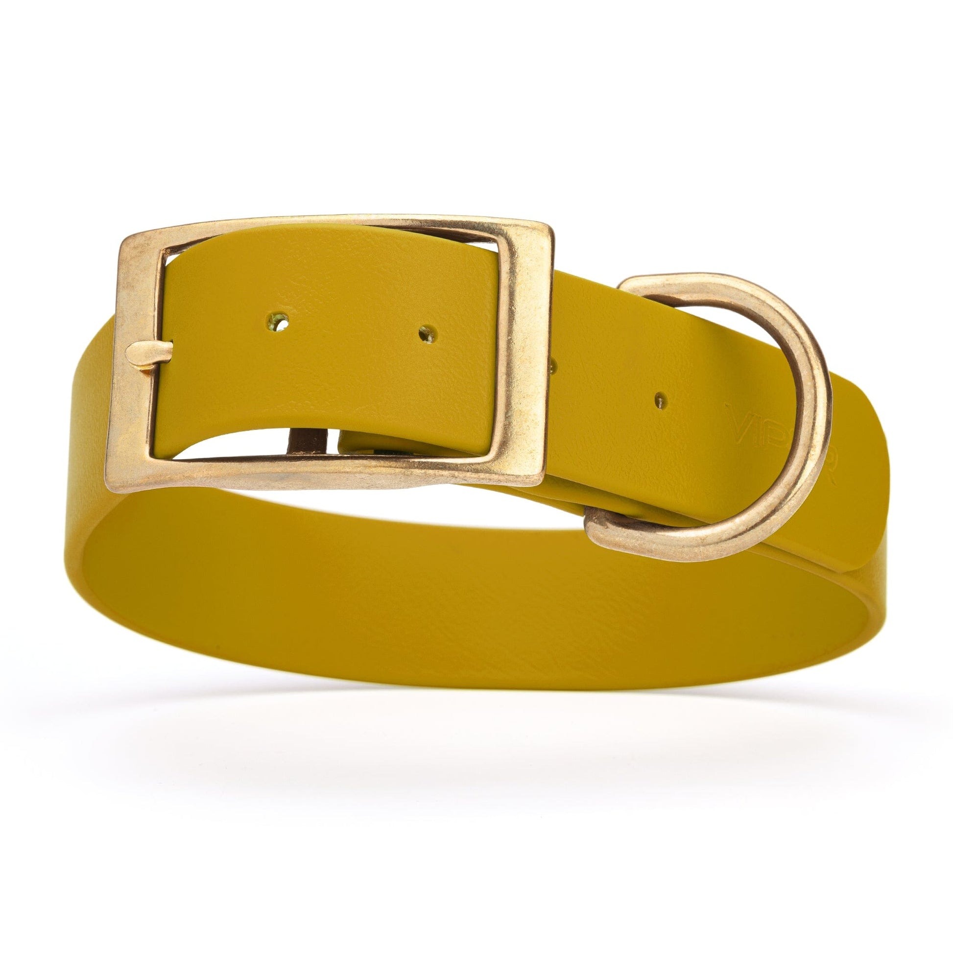 Viper Biothane Waterproof Dog Collar - Brass Hardware - 1.5in Wide - Size XL (20" - 24") Treasure Gold L 20"-24" x W 1.5" Dog Collar Dogline