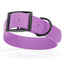 Biothane Waterproof Dog Collar - 1.5in Wide - Large (16 to 20 inches) Amethyst Purple L 16"-20" x W 1.5" Dog Collar Dogline