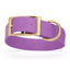 Viper Biothane Waterproof Dog Collar - Brass Hardware - 1.5in Wide - Size XXL (24" - 28") Amethyst Purple L 24"-28" x W 1.5" Dog Collar Dogline
