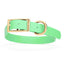 Viper Biothane Waterproof Dog Collar - Brass Hardware - Size L (18" - 22") Sea Foam Green L 18"-22" x W 1" Dog Collar Dogline