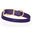Viper Biothane Waterproof Dog Collar - Brass Hardware - Size M (15" - 18") Violet Purple L 15"-18" x W 3 4" Dog Collar Dogline