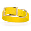 Viper Biothane Waterproof Dog Collar - Brass Hardware - 1.5in Wide - Size L (16" - 20") Lemon Yellow L 16"-20" x W 1.5" Dog Collar Dogline