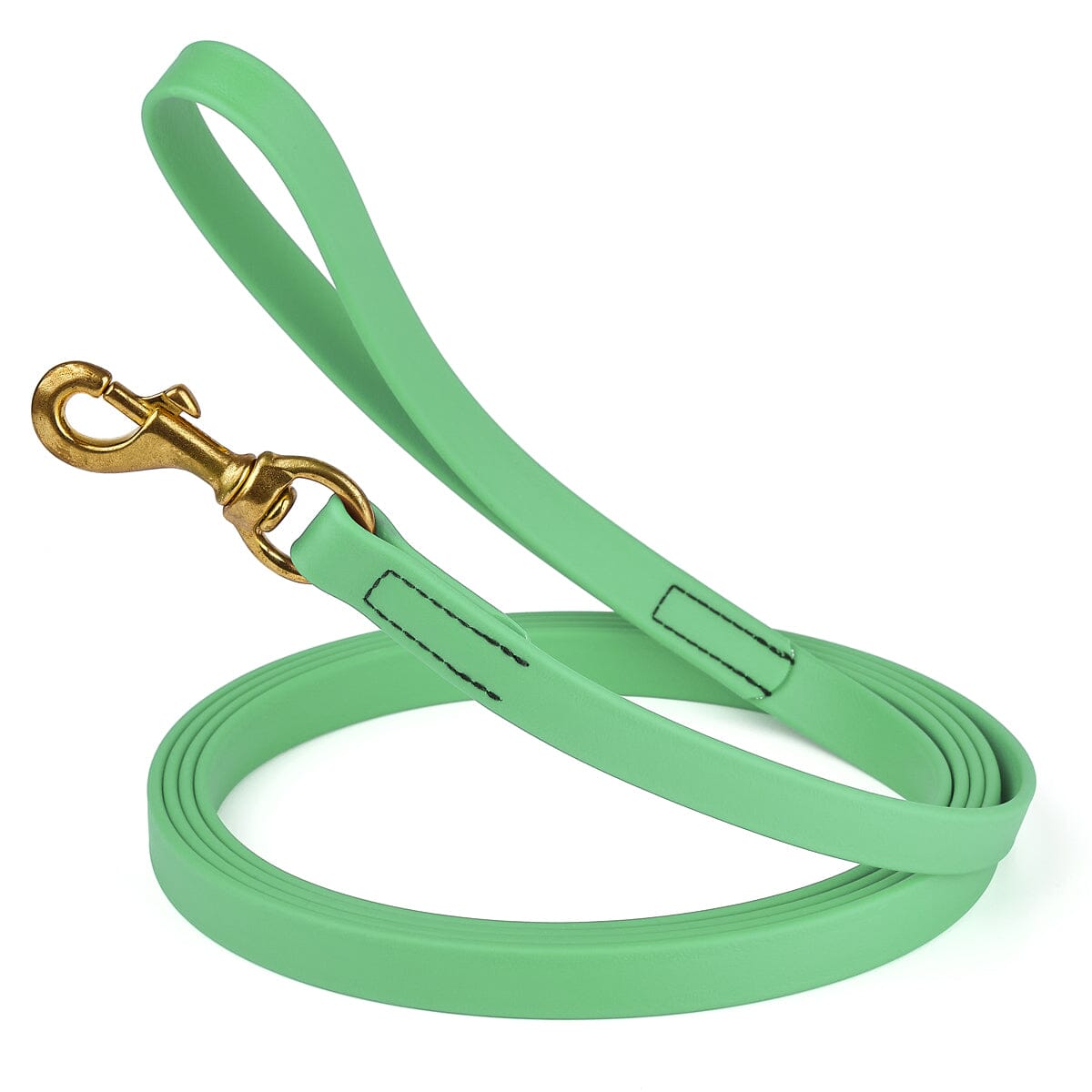 Viper Biothane Long Line 33 ft Lead with Brass Hardware Sea Foam Green 3 4" Dog Leashes Dogline