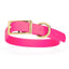 Viper Biothane Waterproof Dog Collar - Brass Hardware - Size L (18" - 22") Passionfruit Pink L 18"-22" x W 1" Dog Collar Dogline