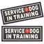 Dogline 3D Rubber Removable Patches for Dog Harness and Vest Service Dog In Training Dog Patches Dogline
