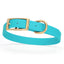 Viper Biothane Waterproof Dog Collar - Brass Hardware - Size M (15" - 18") Sky Blue L 15"-18" x W 3 4" Dog Collar Dogline