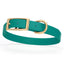 Viper Biothane Waterproof Dog Collar - Brass Hardware - Size M (15" - 18") Blue Aqua L 15"-18" x W 3 4" Dog Collar Dogline