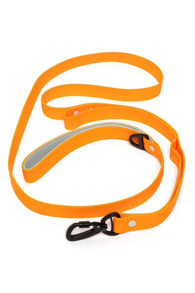 Crimson Glow Waterproof Dog Leash Leash Aria the Fox