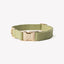 'Green' - Canvas Dog Collar Canvas Collar FURLOU