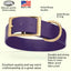 Viper Biothane Waterproof Dog Collar - Brass Hardware - 1.5in Wide - Size XXL (24" - 28") Dog Collar Dogline
