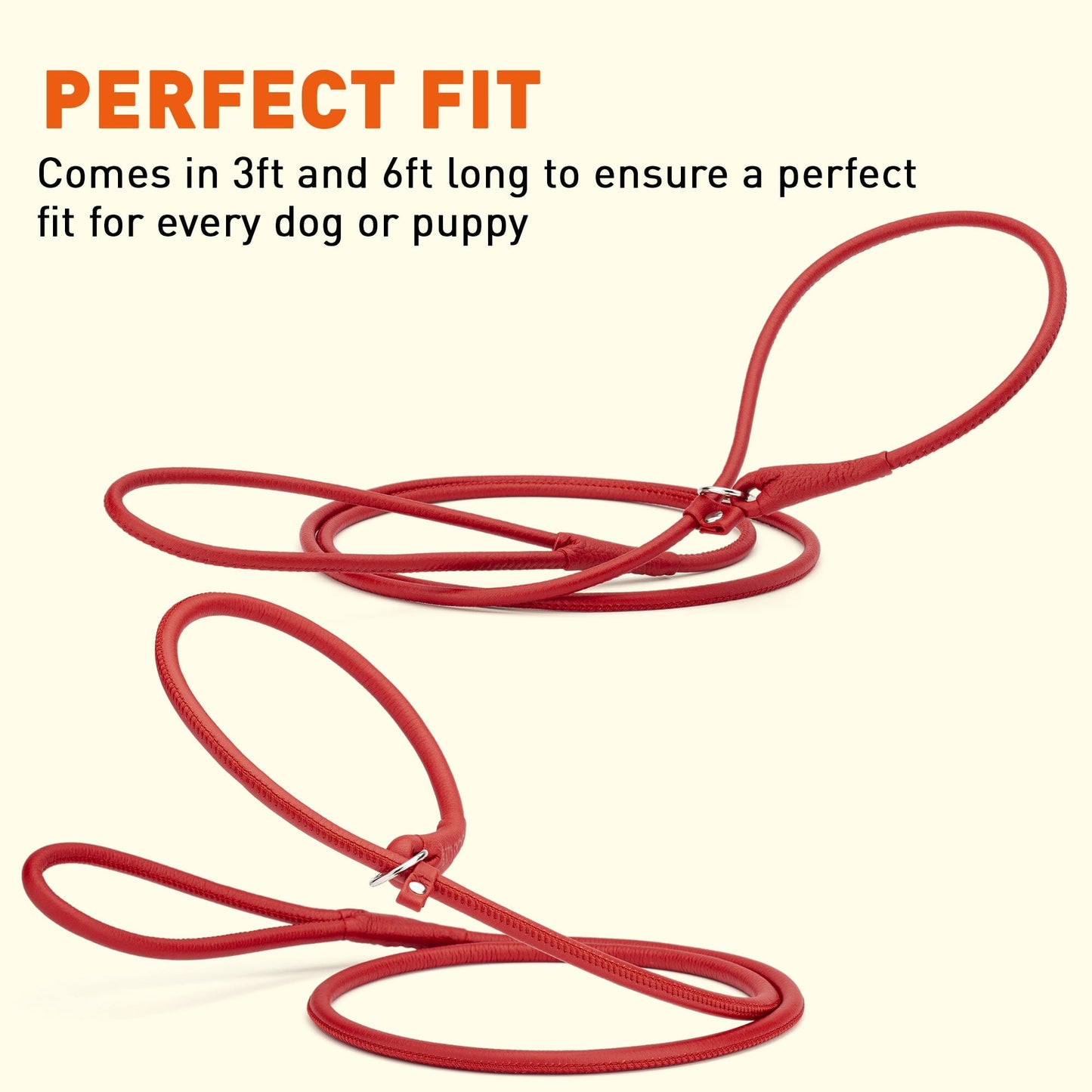 Soft Leather Round Slip Lead for Dogs Dog Leashes Dogline