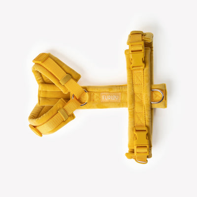 Yellow - Velvet Dog Harness Velvet Harness FURLOU