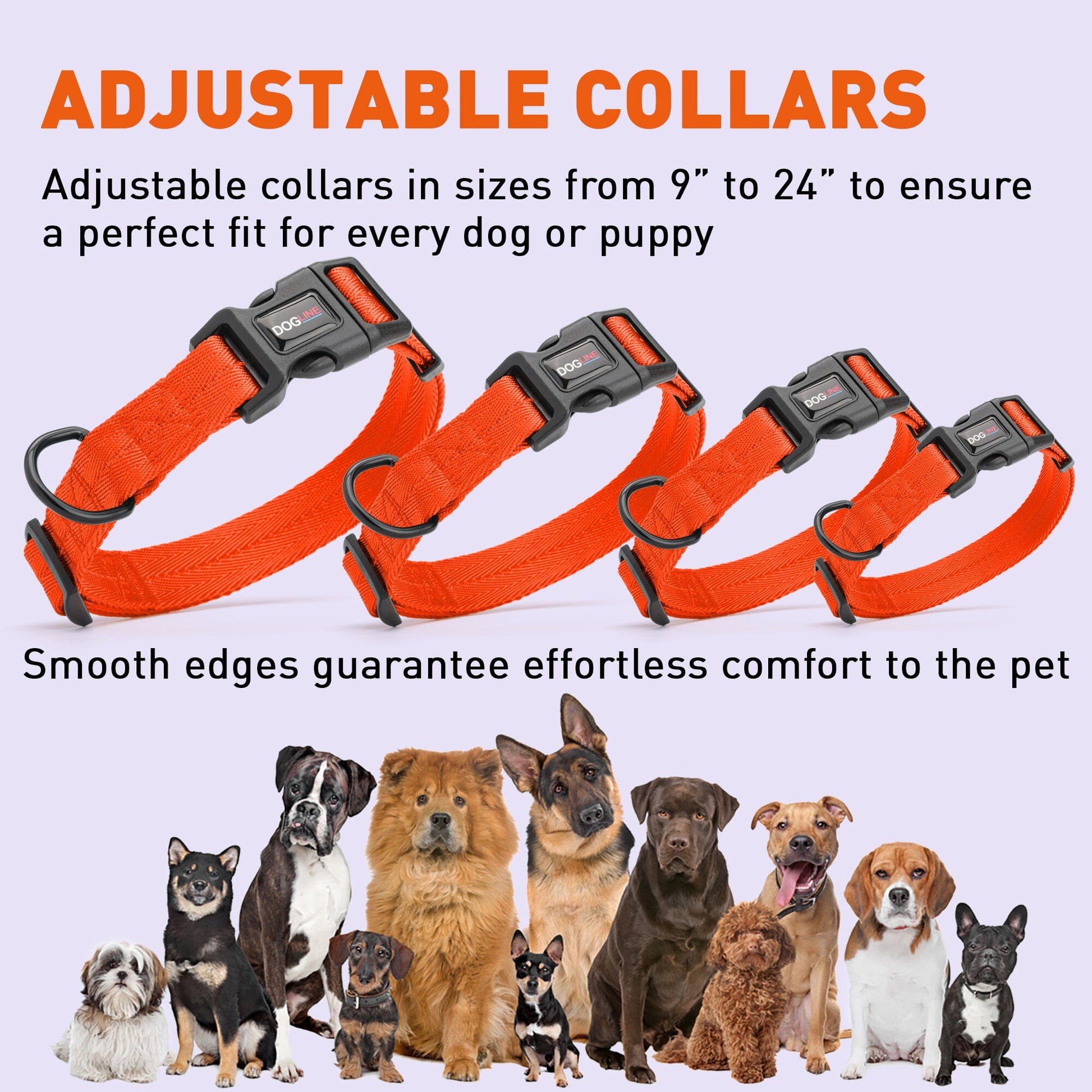 Nylon Flat Dog Collar Dog Collars Dogline
