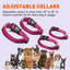 Comfort Microfiber Flat Dog Collar Dog Collar Dogline
