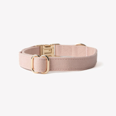 'Powder Rose' - Canvas Dog Collar Canvas Collar FURLOU