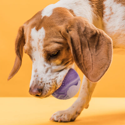 Rubber Euro Ball Dog Toys Dogline