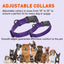 Dogline Biothane Waterproof Dog Collar with Quick Release Buckle Dog Collar Dogline