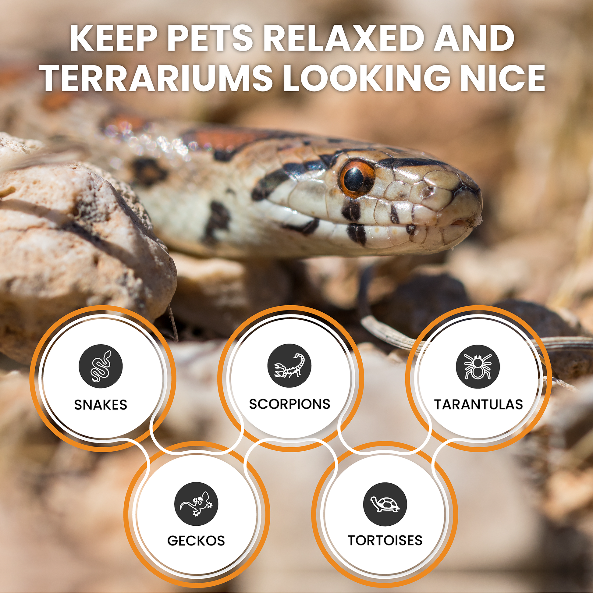 ReptiEarth Fine Coconut Fiber Mix; Ready to Use Substrate ReptiChip LLC