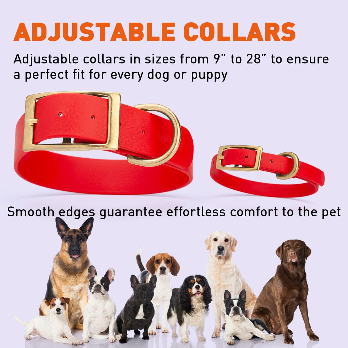 Viper Biothane Waterproof Dog Collar - Brass Hardware - 1.5in Wide - Size XXL (24" - 28") Dog Collar Dogline