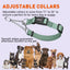 Biothane Adjustable Martingale Collar with Quick Release Buckle Dog Collars Dogline