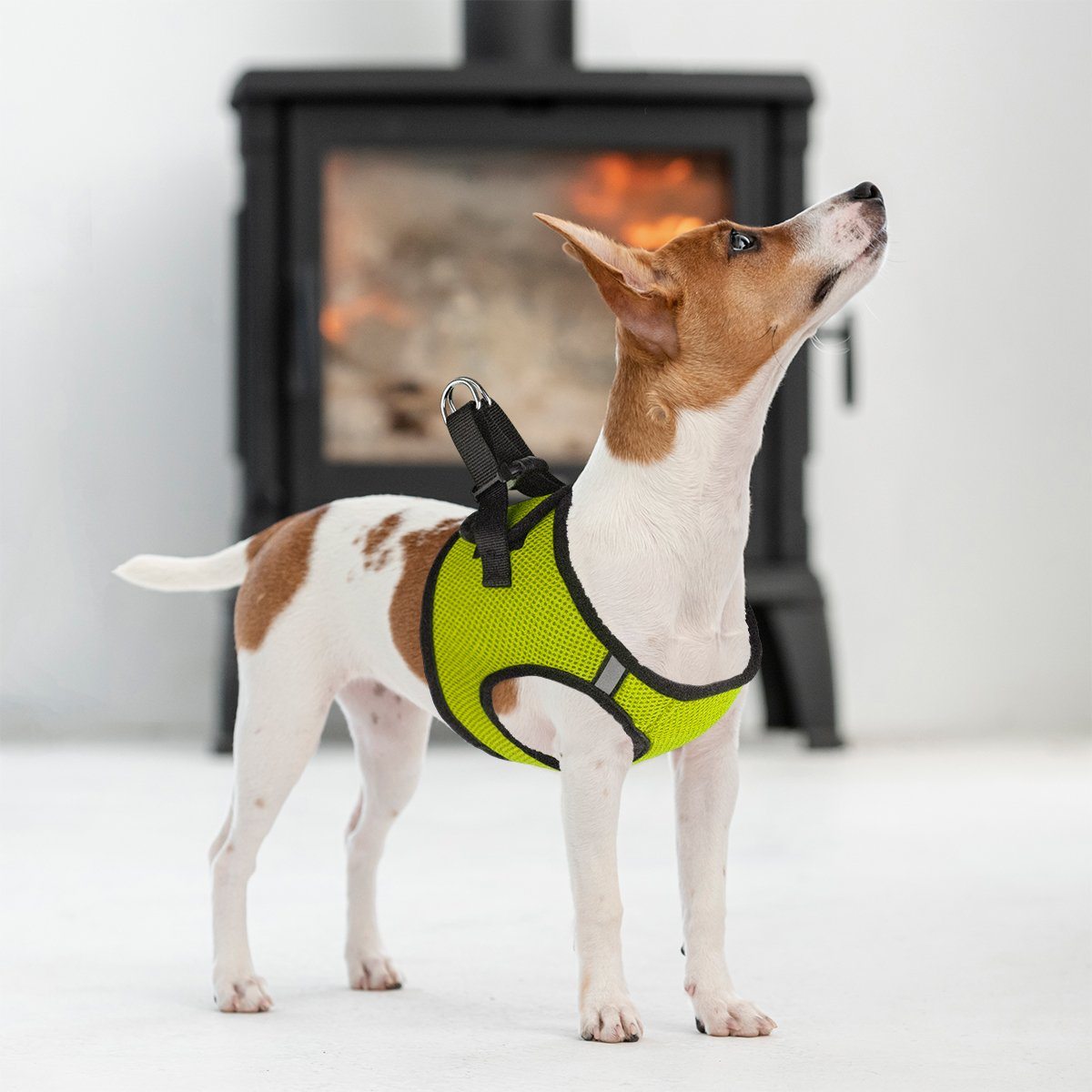 York Mesh Dog Harness Dog Harnesses Dogline