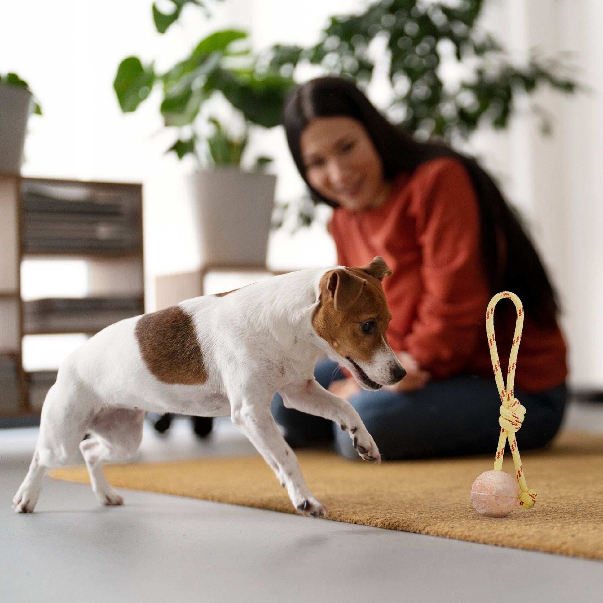 FDT Rubber Dog Ball on Rope, Small - Diameter 2" (5 cm) Dog Toys Dogline