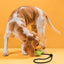Rubber Euro Ball with Rope Dog Toys Dogline