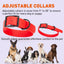 Biothane Waterproof Dog Collar - 1.5in Wide - XX-Large (24 to 28 inches) Dog Collar Dogline