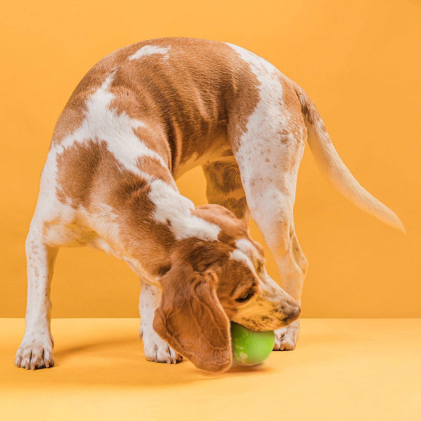 Rubber Euro Ball Dog Toys Dogline