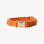 'Terracotta' - Canvas Dog Collar Canvas Collar FURLOU