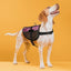 MaxAire Mesh Dog Vest Harness Dog Harnesses Dogline