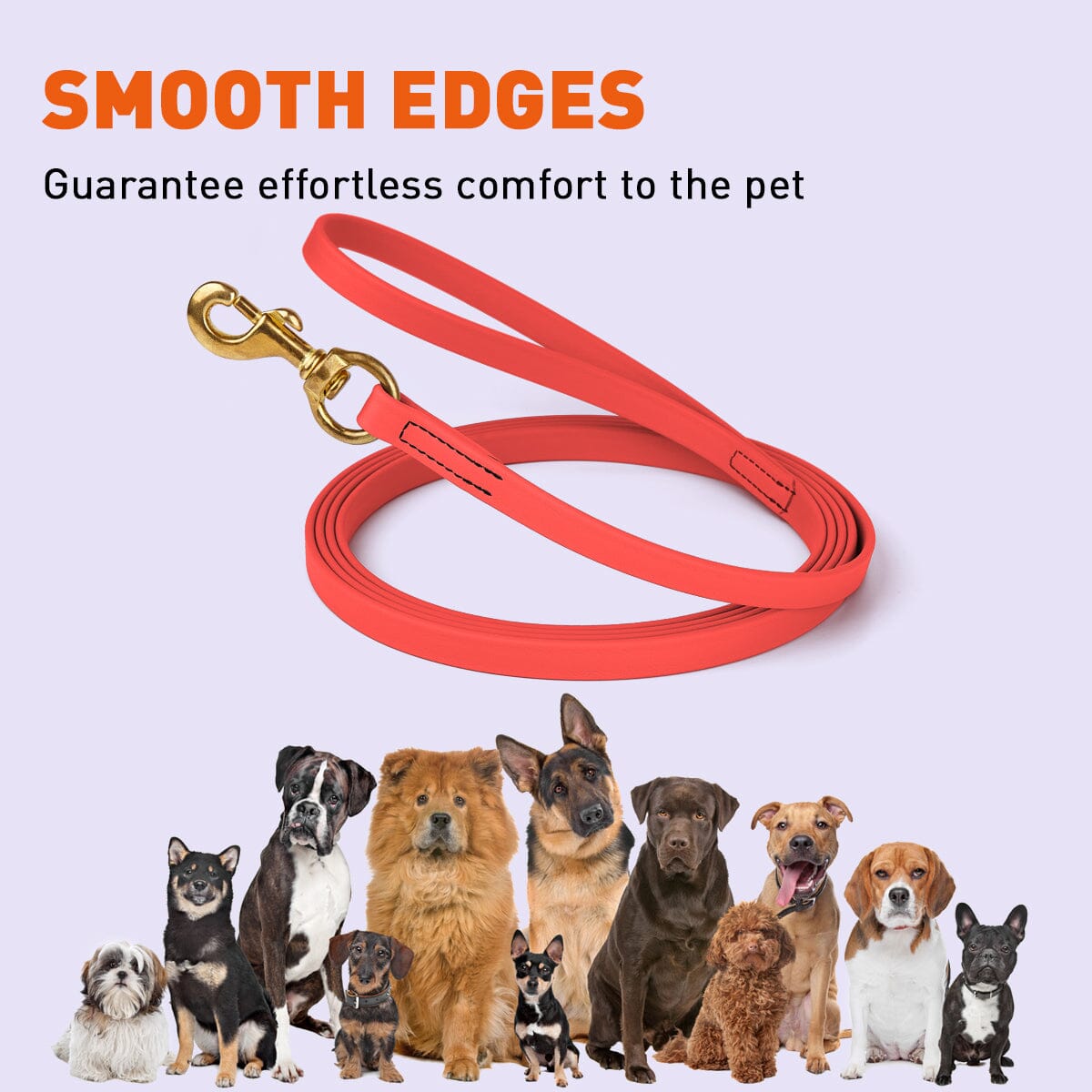 Viper Biothane Long Line 20 ft Lead with Brass Hardware Dog Leashes Dogline